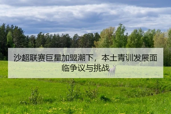 沙超联赛巨星加盟潮下，本土青训发展面临争议与挑战