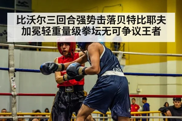 比沃尔三回合强势击落贝特比耶夫 加冕轻重量级拳坛无可争议王者